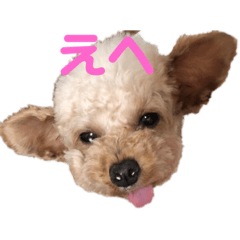 ran_20190930215958