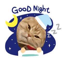 yuaya_20190925230215