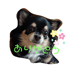 cancandit_20191001100714