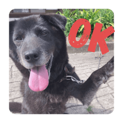 moka_20191014205116