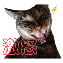 hinata_20190928152234