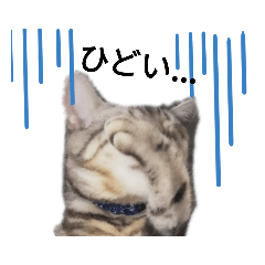 Hayato_20190926174853