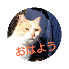 YUTA_20191017145849