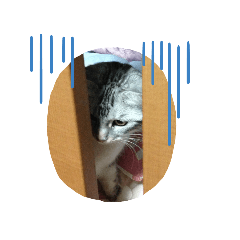 Hikaru_20190925223300