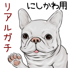 Nishikawa Real Gachi Pug & Bulldog