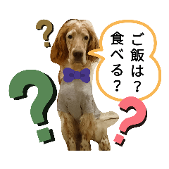 kayo_20191017162105