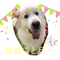 ruby_20191017170149