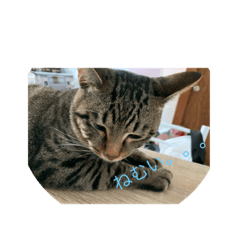 maron_20191017171539