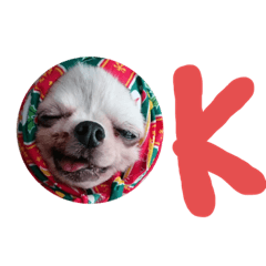 RY_20191017190752