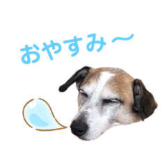 kao_20190928113747