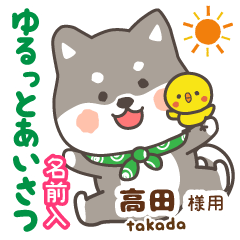 [TAKADA]Lovely black dog.Shiba Inu