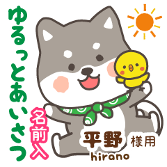 [HIRANO]Lovely black dog.Shiba Inu