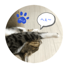 PON_20191017200742