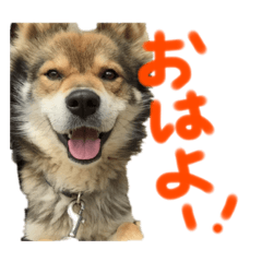 miwa_20191017203014
