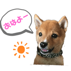 KYOKO_20190927165140