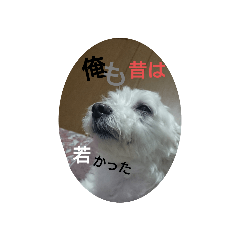 saya_20191017223112