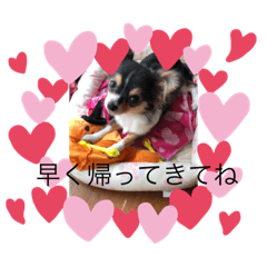 ahiru_20191017225140