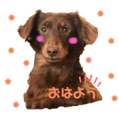 hana_20191017223112