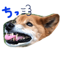 ponta_20191017230840