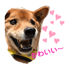 ponta_20191017230639
