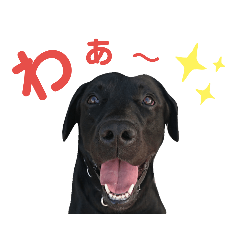 ace_20190929135100