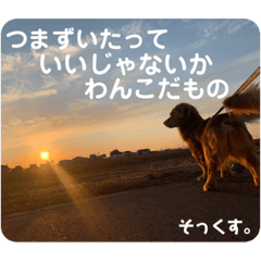 SAYU_20191018000123