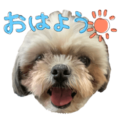 Asuka_20191017235951