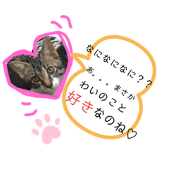 Family_20191018003654