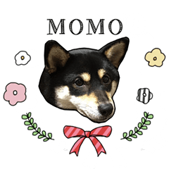:momo's sticker: