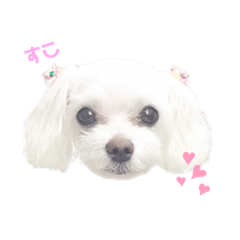 saya_20190928234714