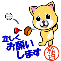 Dog called Inada which plays golf