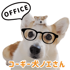 Corgi noel office