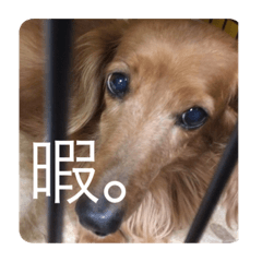 Mizuki_20190928012643