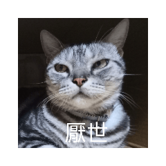 我的巴特是一隻豬