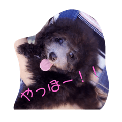 yun_20191018124822