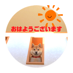 kuu_20191018135245