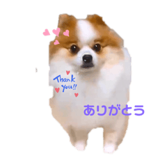 maron_20191018141313