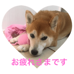 ayumi_20190929151232