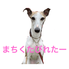 miki_20191018144208 – LINE stickers | LINE STORE