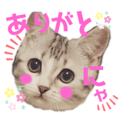 ayumi_20190927140823