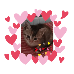 Hikaru_20190925