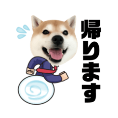 nobo_20190929135442