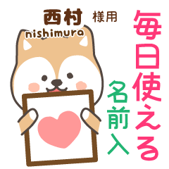 [NISHIMURA]Cute brown dog. Shiba Inu