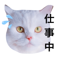 chihiro_20191017192157