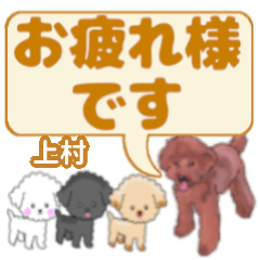 Uemura's. letters toy poodle