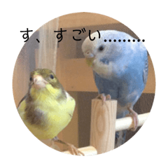 Omame_20191015221235
