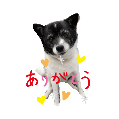 kurumi_20191016223955