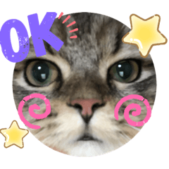 mizuki_20191002124237