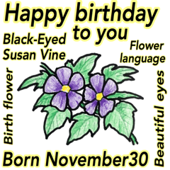 November birthflower and flower language