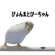 Pyontatopi-chan